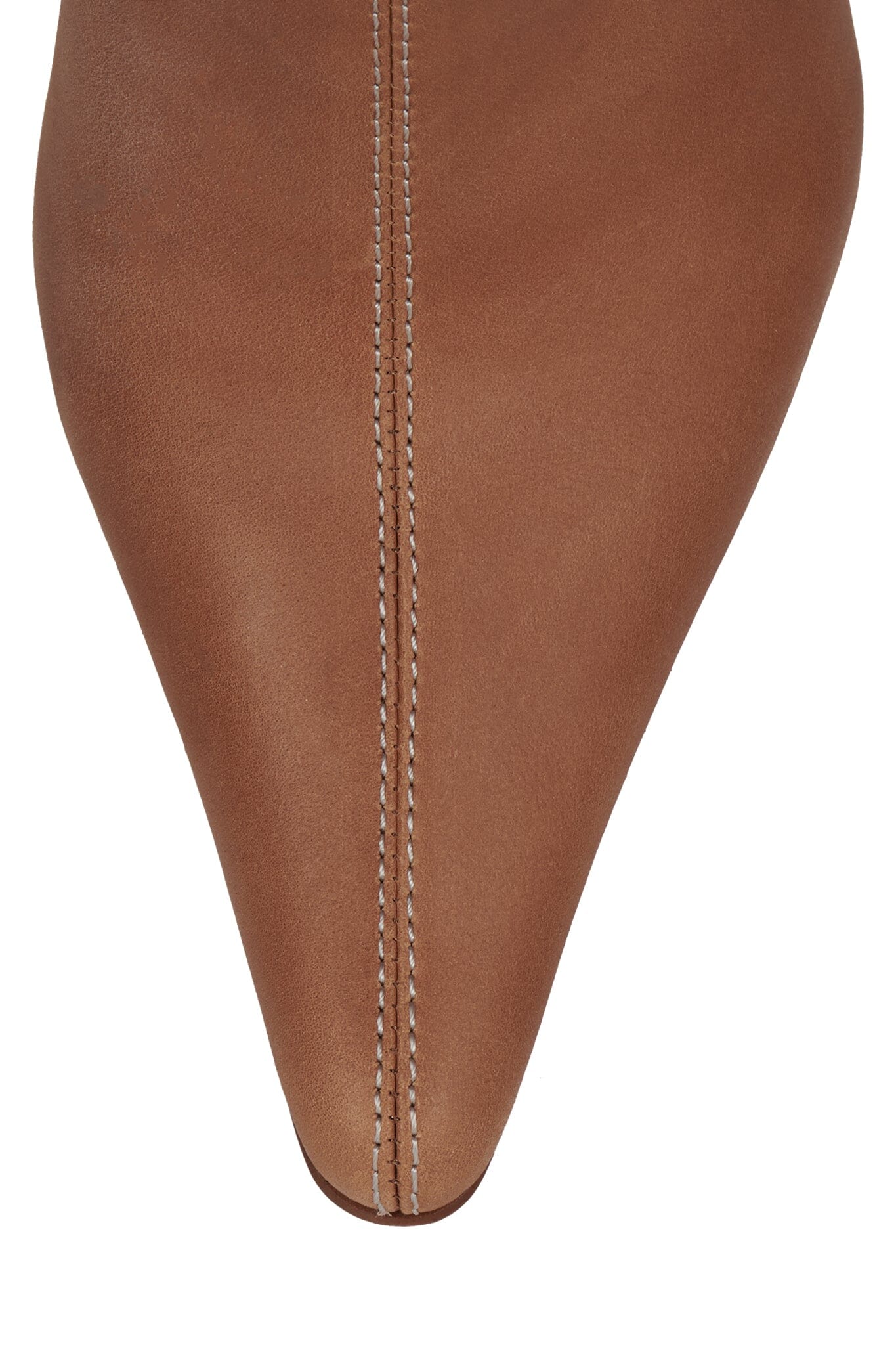DOTTY - Image 9