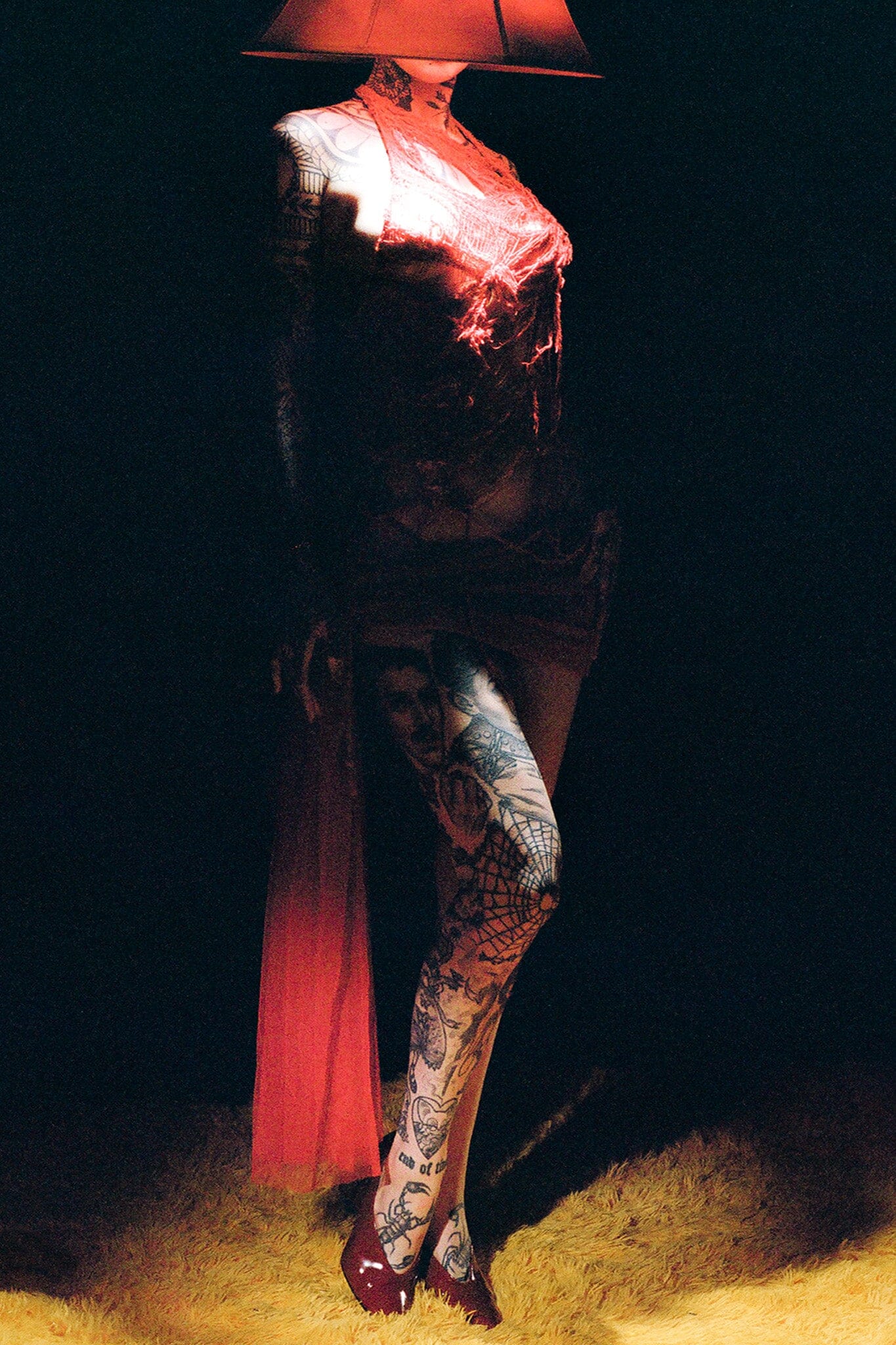 HINTS-H2 - Image 13