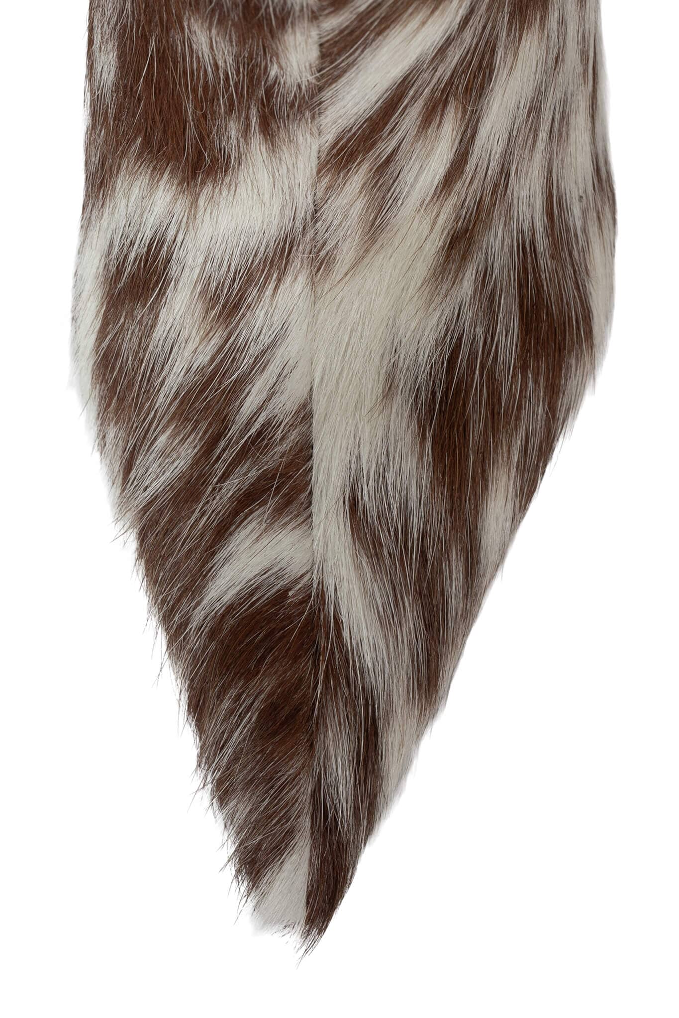 PINPOINT-F - Image 8