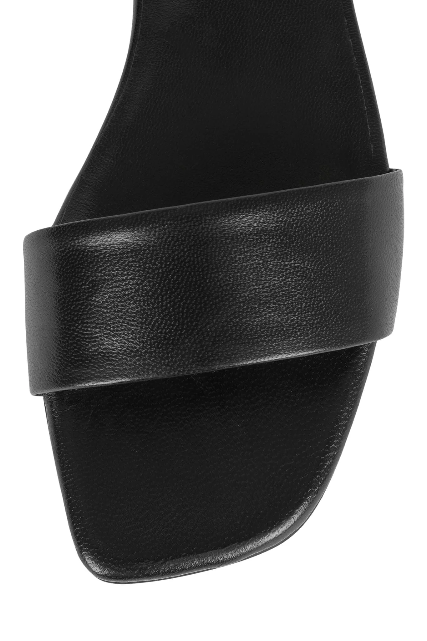 VELLUM - Image 12