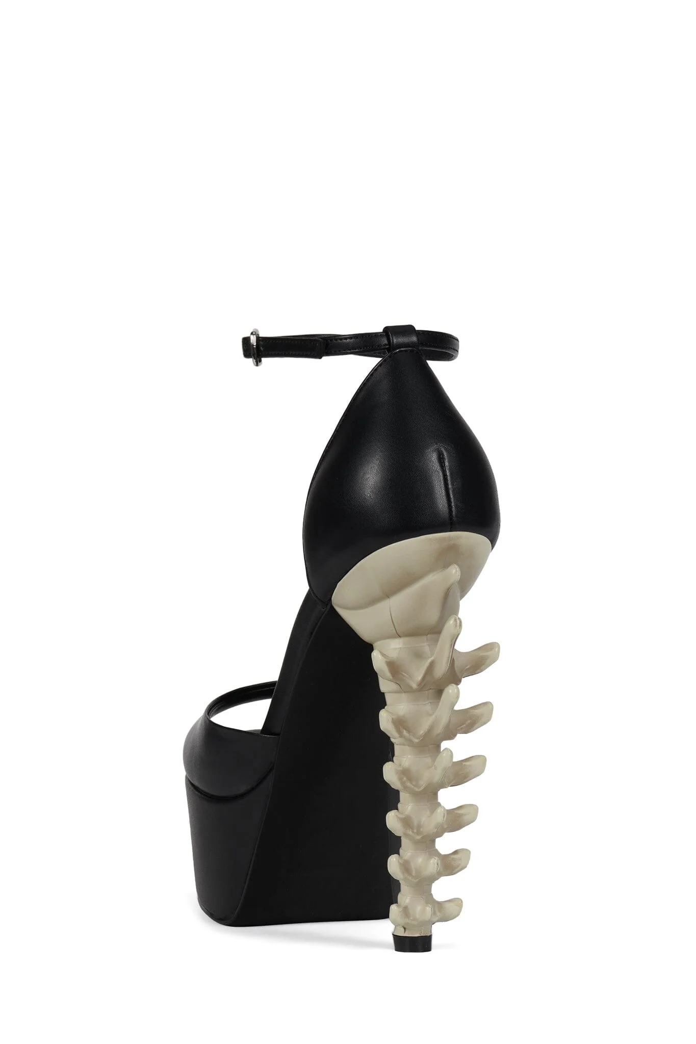 VERTEBRAE - Image 3